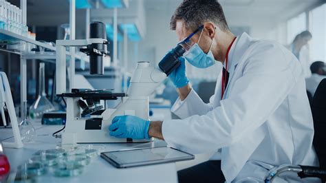 Laboratório Análises Clínicas Labeca Fotos e Apostas: O que Jogadores Sabem